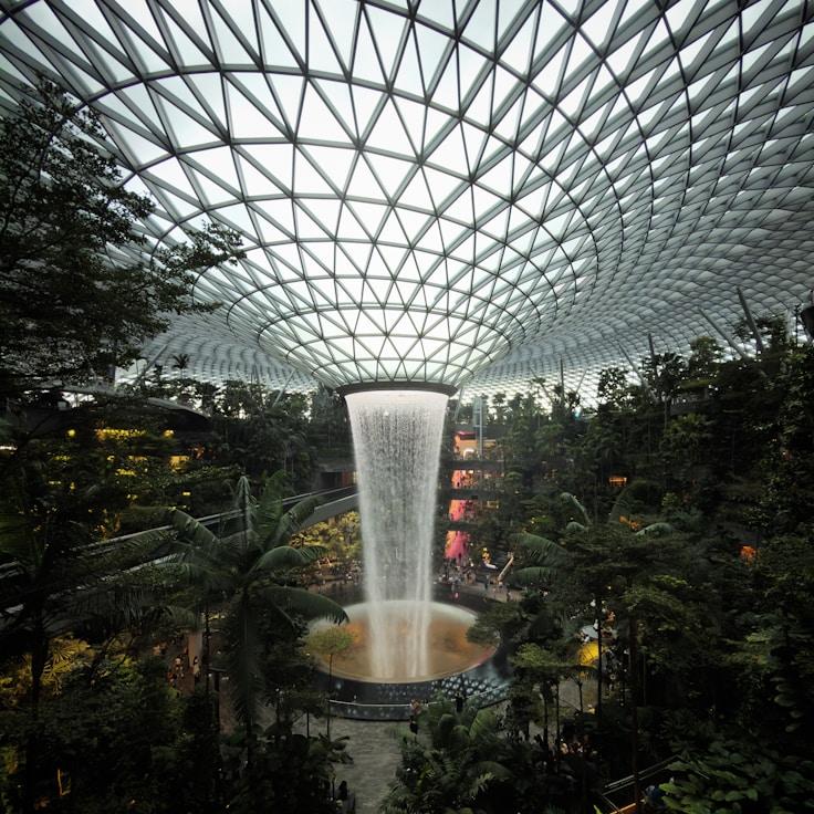 Dining out as an expat family in United States