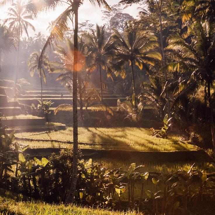 Entertainment zone at night in United States